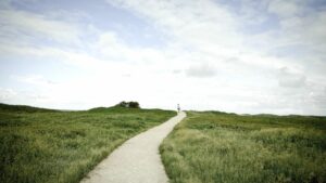 grey sky green grass