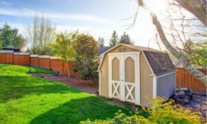 tan shed in backyard