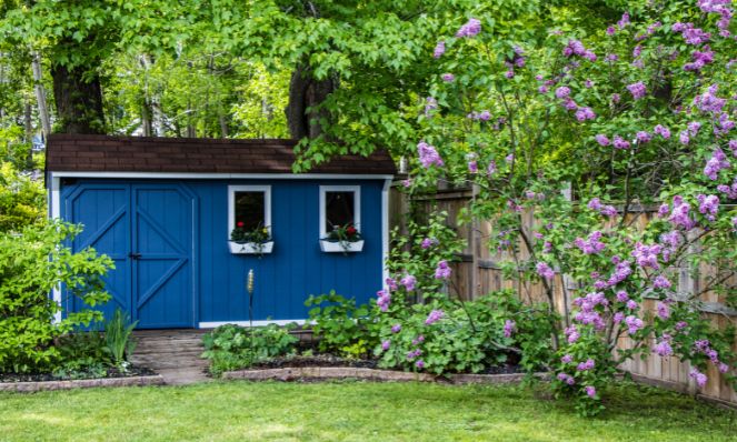 blue shed in backyard